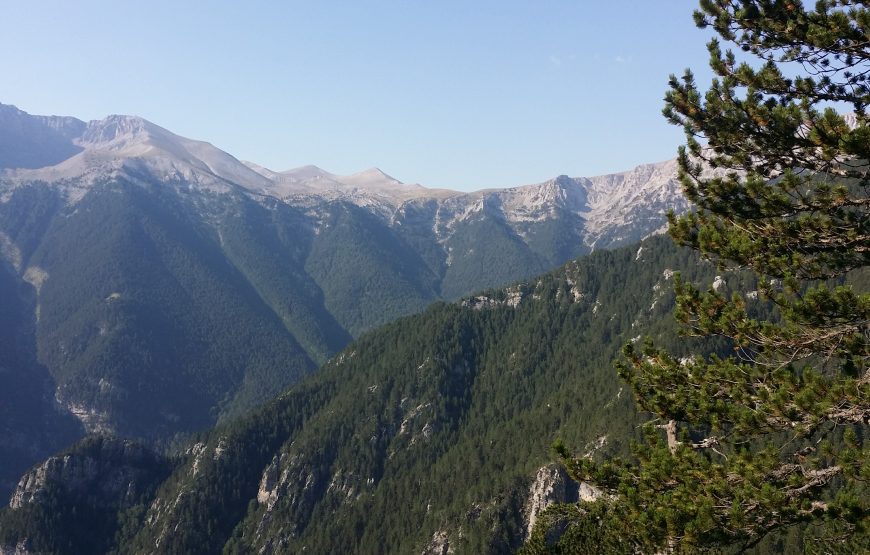 Trail Running at Mt Olympus-Daily trail run up to 5 days